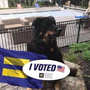 Meet your Posher, Meredith